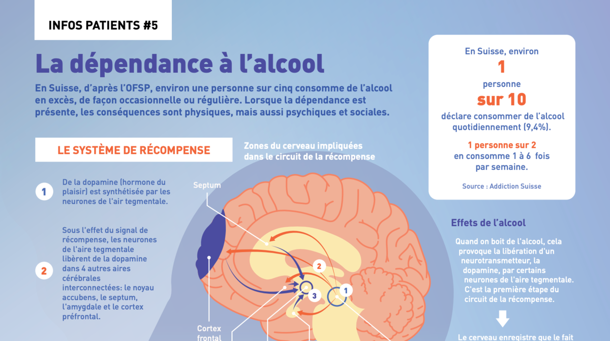 Alcool - Infographie